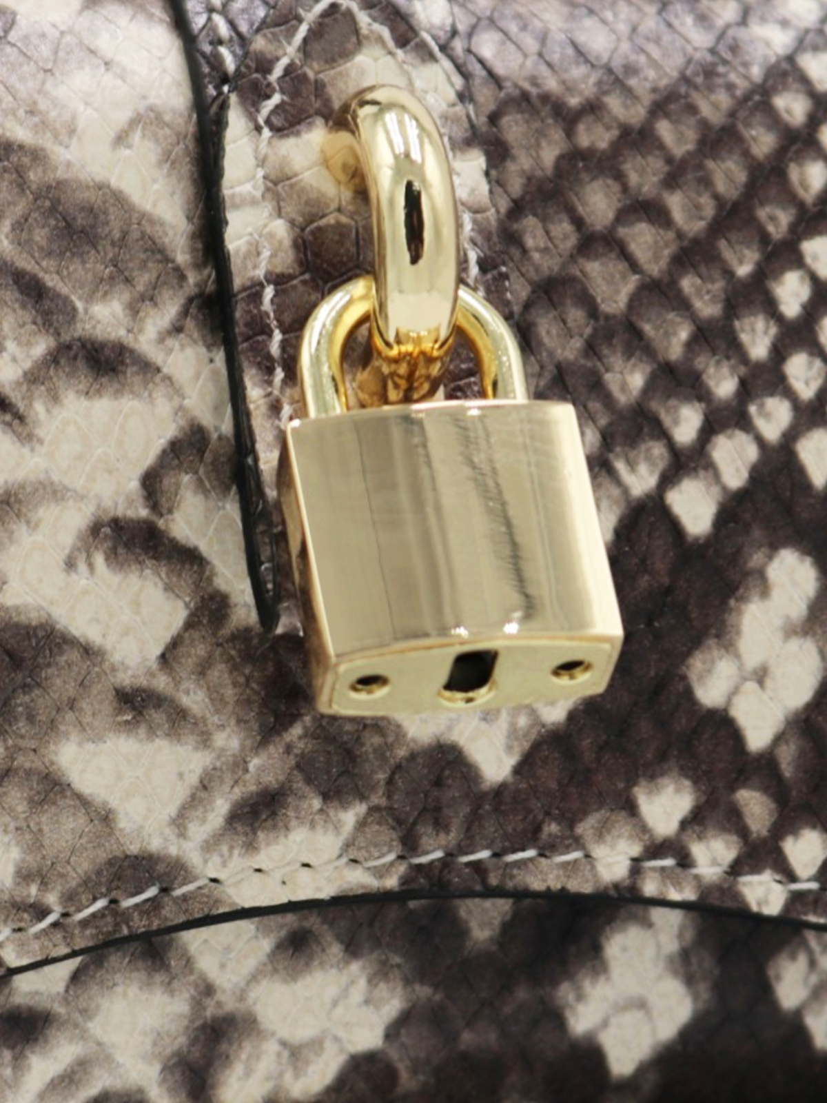 SVEVA SNAKE
